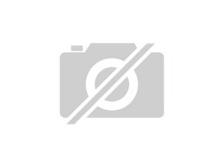 Grindal Zuchtansatz Grindalwürmer Lebendfutter Mikrowürmchen